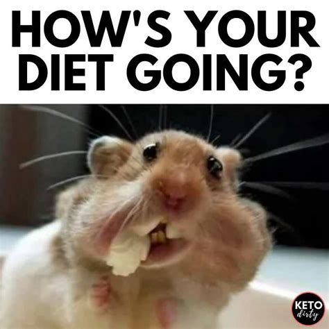 funny dietitian memes|going on a diet meme.